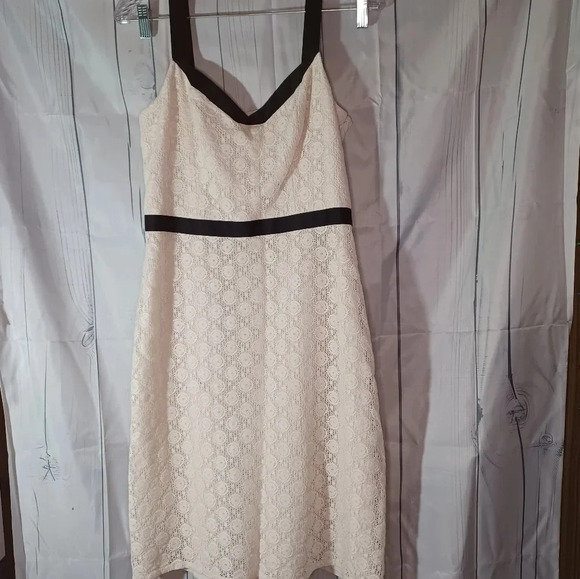 Ann Taylir Loft Black Trim Ivory Lace Sleeveless Dress Size 8p - Picture 1 of 7
